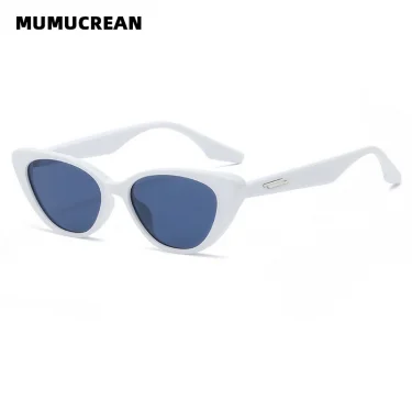New Small Cat Eye Sunglasses Women Fashion Gradient Shades Outdoor Triangle Female Sun Glasses Party Eyewear AccessUV400 6