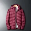 Hooded Red