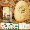 Medium dinosaur egg