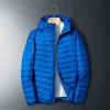 Hooded Blue