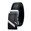 Siilverbuckle Black
