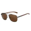 004 Brown Lens