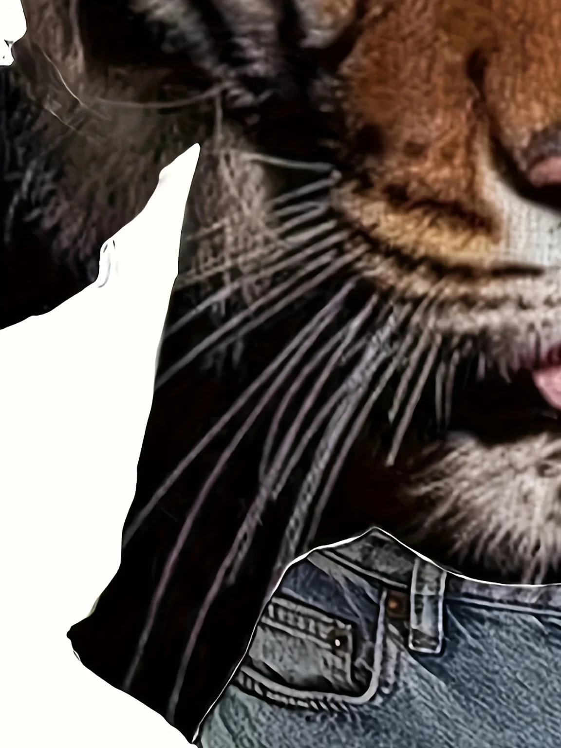 Women's Shirt Tiger Pattern Printed Street Fashion Women's Lapel Button Up Shirt Daily Women's Temperament Elegant Printed Shirt 2