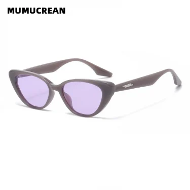 New Small Cat Eye Sunglasses Women Fashion Gradient Shades Outdoor Triangle Female Sun Glasses Party Eyewear AccessUV400 4