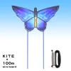 Blue Butterfly