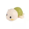 Green Turtle