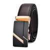 Goldbuckle Brown