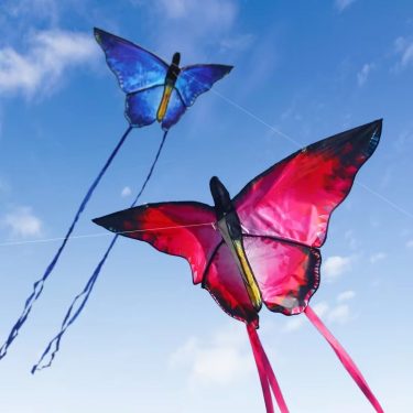 YongJian Beautiful butterfly kites Red Crystal Butterfly kites With 100m kite string Children adults kites factory outdoor Toys