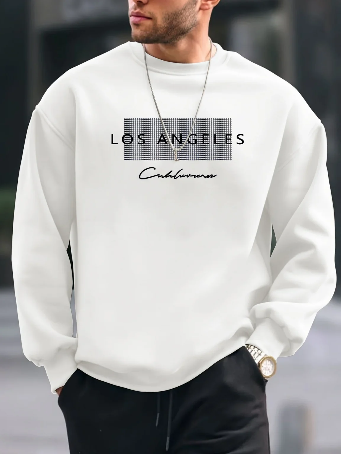 Men's autumn and winter fashionable casual loose Los Angeles letter printed fleece pullover round neck long sleeved sweatshirt 3