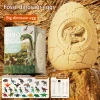 Big dinosaur egg