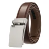 Vintage silver Brown