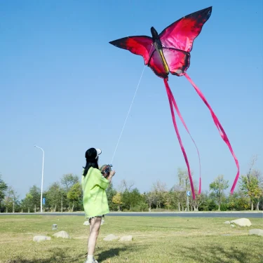 YongJian Beautiful butterfly kites Red Crystal Butterfly kites With 100m kite string Children adults kites factory outdoor Toys 3