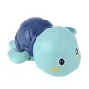 Turtle Blue
