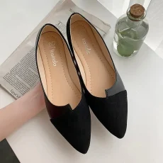 Women Shoes Fashion Splice Color Mule Flats Pointed Toe Ballerina Ballet Flat Slip on Shoe Zapatos Mujer Loafers Size 35-41 4