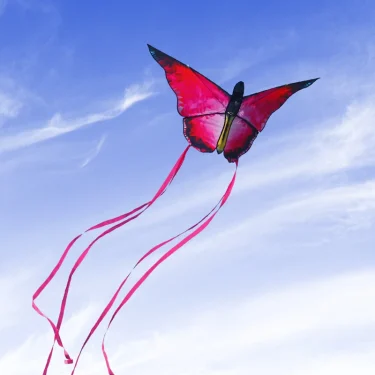 YongJian Beautiful butterfly kites Red Crystal Butterfly kites With 100m kite string Children adults kites factory outdoor Toys 2