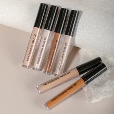 6-color flawless concealer, improving uneven skin tone, light, medium coverage, semi-matte, and pure. 5