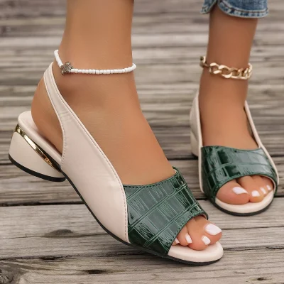 Summer New Fashion Sandals Women Colored Fish Mouth Thick Heels Large Size Back Hollow One Line Women Shoes Sandalias De Mujer 2