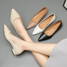 New Pointed Toe Shallow Mouth Square Heel Small Leather Shoes Women's Elegant Fashion High Heels Dress Shoes Zapatos Mujer 2