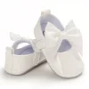 B243 White