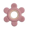 Flower rose pink
