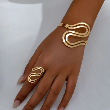 Minimalist 2PCS Gold-plated Snake Shaped Bracelet Bangles for Women Fashion Metal Girls Geometric Ring Jewelry Sets 1