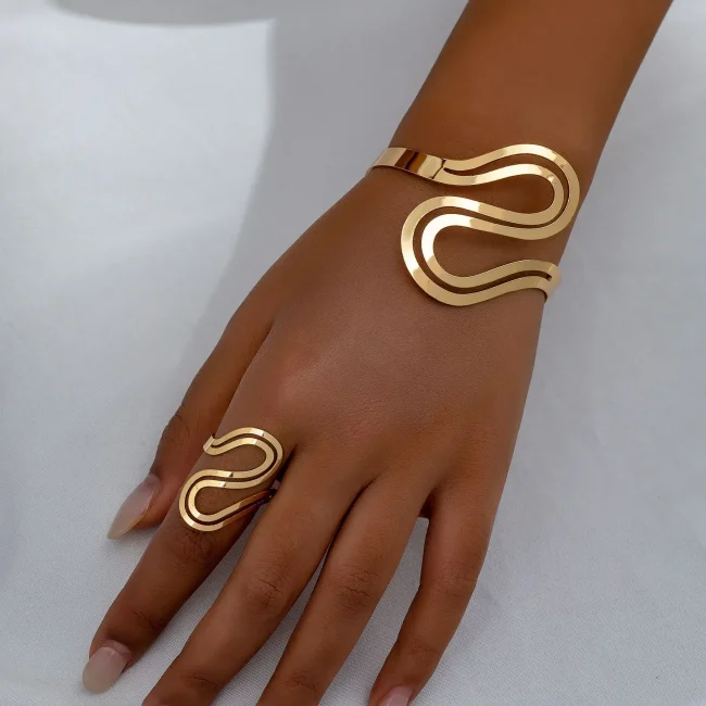 Minimalist 2PCS Gold-plated Snake Shaped Bracelet Bangles for Women Fashion Metal Girls Geometric Ring Jewelry Sets 1