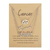 Cancer-Silver