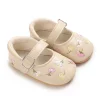 E-166APRICOT