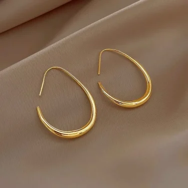 Hot Sale 925 Silver Needle Geometric Oval Hoop Earrings For Women Simple Desgin Earrings Party Wedding Jewelry eh2008 3