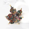 Colourful maple leaf