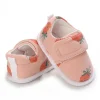 B329 strawberry