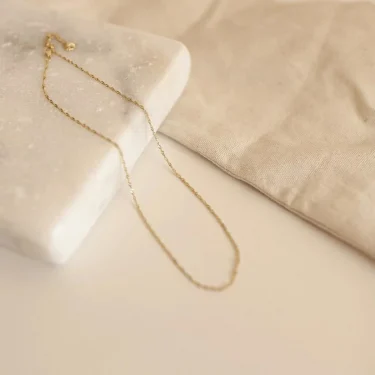 Exquisite Gold Plated Stainless Steel Thin Chain Necklace for Women Simple Style Clavicle Chain Female Jewelry 6