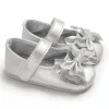 H-20SILVERY