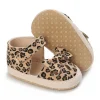 C-740Leopard
