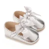 F-53SILVERY