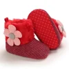 C-648 Red