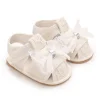 D132 White-Flowe