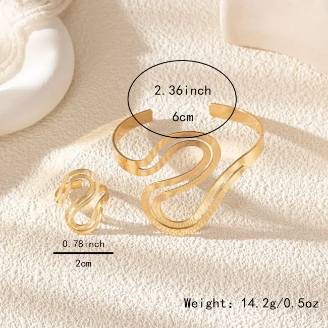 Minimalist 2PCS Gold-plated Snake Shaped Bracelet Bangles for Women Fashion Metal Girls Geometric Ring Jewelry Sets 6