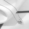 Silver 04