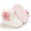 C-648white