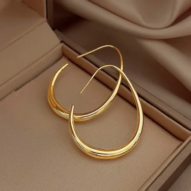 Hot Sale 925 Silver Needle Geometric Oval Hoop Earrings For Women Simple Desgin Earrings Party Wedding Jewelry eh2008 1