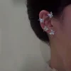Silver-Right ear