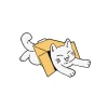 Cat 13