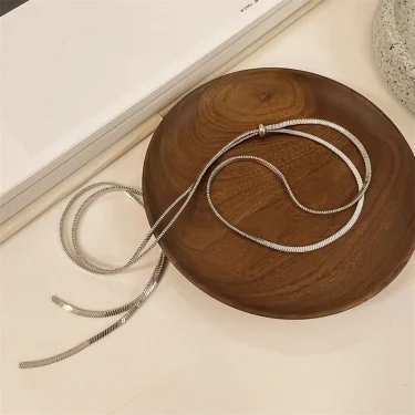 316L Stainless Steel New Fashion Fine Jewelry 134cm Pull Adjusting Charm Flat Snake Chain Choker Necklaces Pendants For Women 6