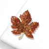 Red maple leaf