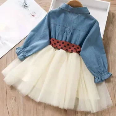 Baby Girls Long Sleeve Tutu Mesh Dresses Spring Toddler Polka Dot Bow Party Princess Young Children Clothes Simple Kid's Costume 2