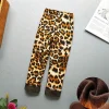 Big Leopard