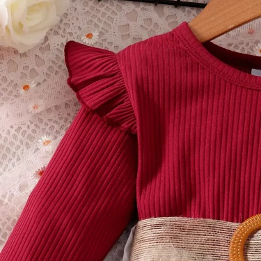 1-7 Years Children Girls New Year Dress Red Long Sleeved Flower Skirt for Birthday Wedding Party Wear Fashion Autumn Outfits 4