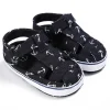 C-318 Black
