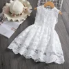 52WHITE